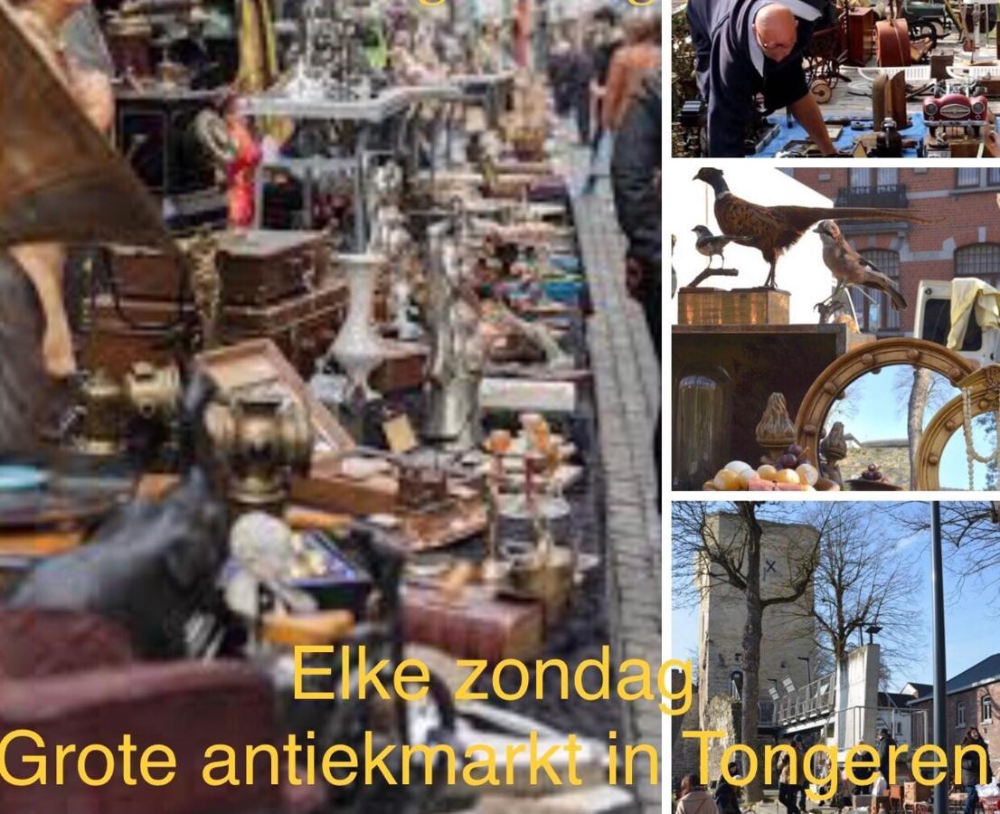 Vakantiehuisje Vds Тонгерен Екстер'єр фото